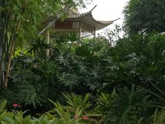 -晓港公园