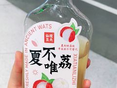 -仙境豆夫(步行街旗舰店)