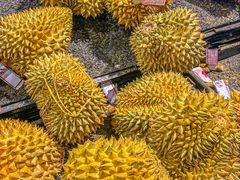 -AEON永旺(东方宝泰店)