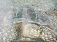 -哈尔滨北方森林动物园