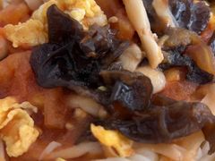 -天鹅到家·保姆月嫂育儿嫂(总店)