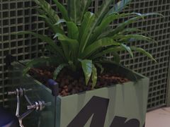 -Ann COFFEE(来福士店)