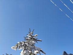 -秦岭风景区