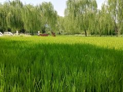 -北坞公园