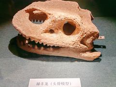 -大连自然博物馆·地球展厅