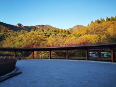 -三块石国家森林公园