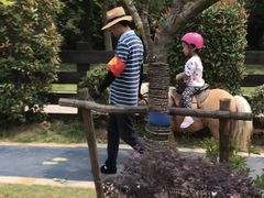 -无锡动物园·太湖欢乐园