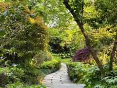 -杭州西子湖四季酒店-WL BISTRO西湖餐厅(灵隐路店)