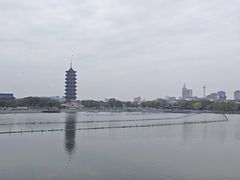 -葛仙湖公园
