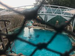 -新加坡水上探险乐园