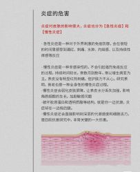 -玛莲朵·海菲秀冰珀科