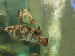 -宴小馆·小海鲜青岛菜(五四广场店)