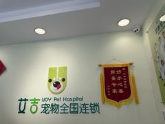 -艾吉宠物医院·疑难杂症转诊中心·猫友好(碧江路院)