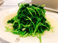 -苏浙汇(朝外店)