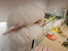 -阳光世纪奥特莱斯店