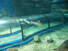 -福州罗源湾海洋世界旅游区