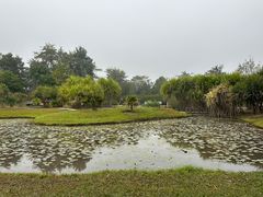 -中国科学院西双版纳热带植物园