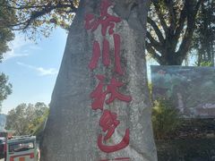 -塔川景区