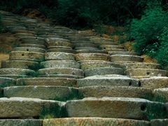 -黄金寨原生态旅游区