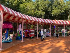 -大兴滨河森林公园