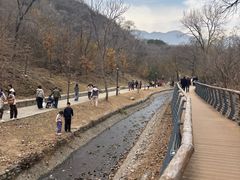 -白水寺森林公园