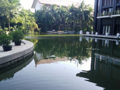 西餐厅旁的鱼池-三亚亚龙湾雅高铂尔曼别墅度假酒店