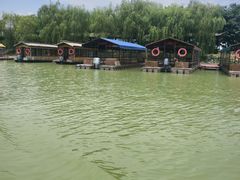 -泗洪洪泽湖湿地景区