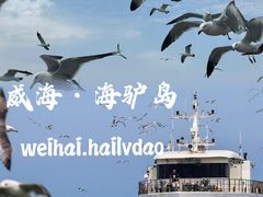 -海驴岛(荣成市)