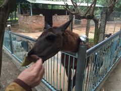 -广东茂名森林公园