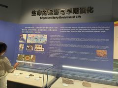 -辽宁古生物博物馆