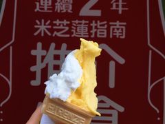 -柠檬车露(卖草地店)