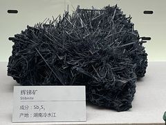 -浙江自然博物院(杭州馆)