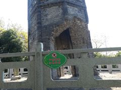 -上海佘山国家森林公园天马山园