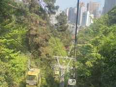 -黔灵山公园