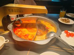 -海底捞火锅(赛格国际购物中心店)