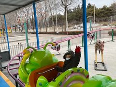 -朝阳公园游乐园