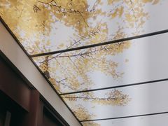 -京味斋·烤鸭·北京菜(安贞店)