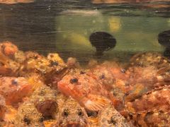 -龙宴海鲜城(经中路店)