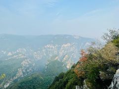 -神农山景区