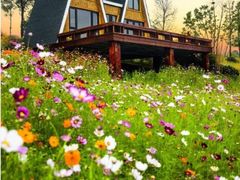 -云漫湖生态度假公园