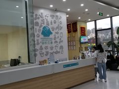 -谐和贝康宠物医院24小时·宠保定点(急重症转诊中心)