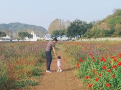 -紫海香堤香草艺术庄园