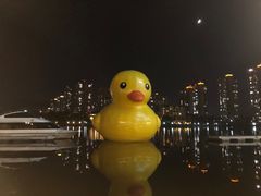 -闲湖城·黄龙饭店