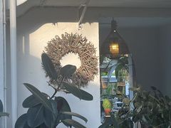 -云里小坐·小院里·团建·宴请·下午茶(三圣乡店)