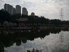 -光明港公园