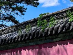 -北陵公园