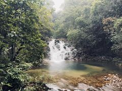 -九龙江国家森林公园