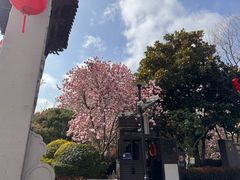 -三林塘老街
