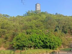 -深圳国际园林花卉博览园