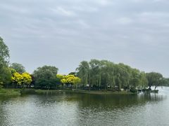 -石家庄市植物园